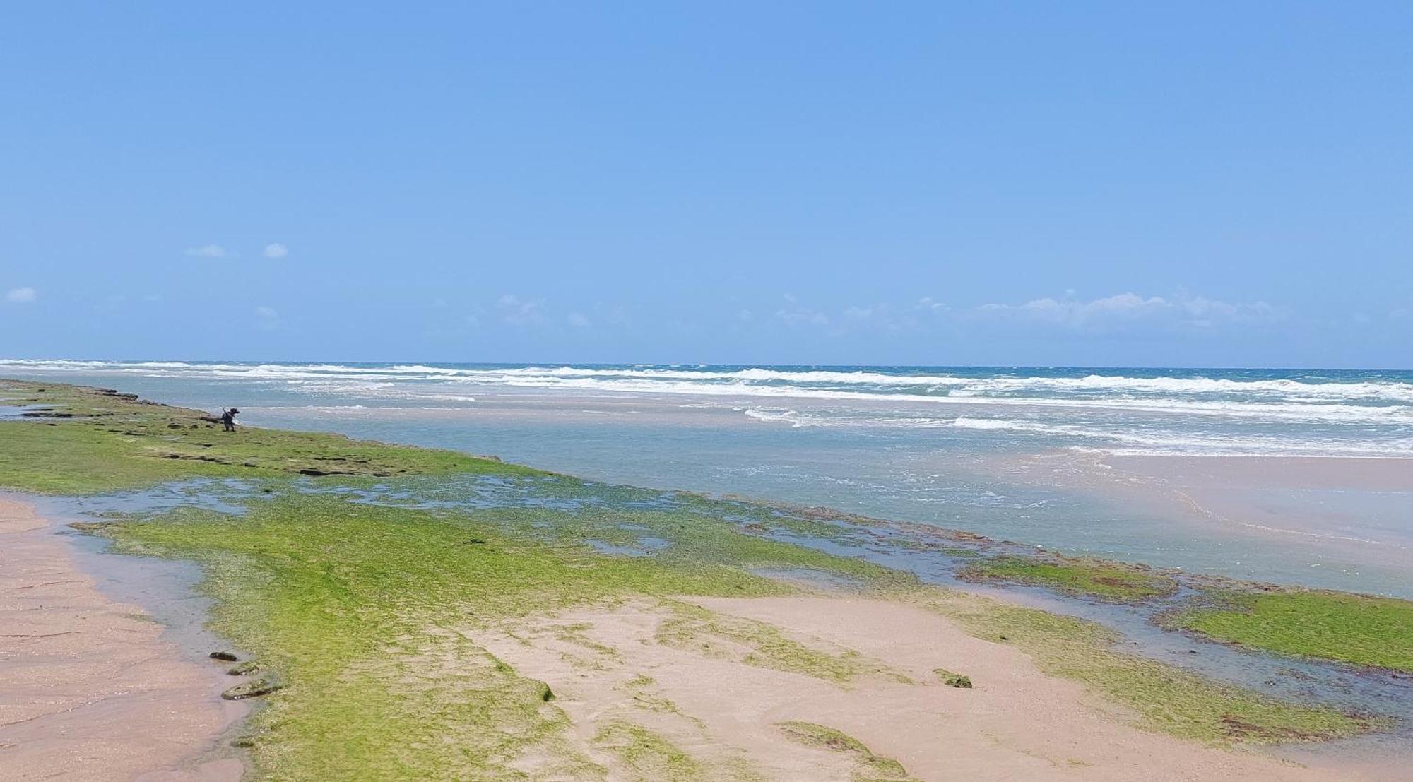 Portal Vida Chale Na Praia Da Taiba Sao Goncalo do Amarante  Exterior foto